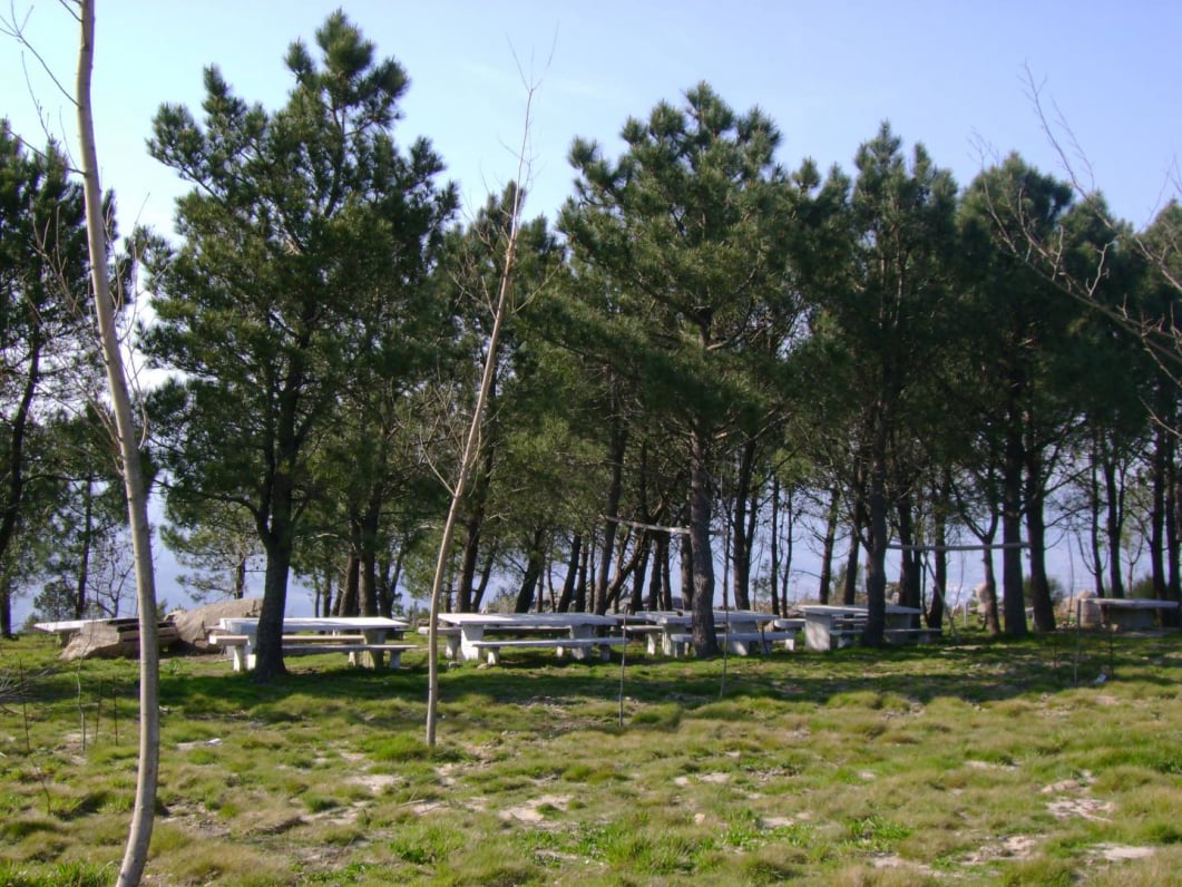 São Silvestre